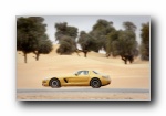 2010 Mercedes Benz(÷˹-) SLS AMG Desert Gold ƽ