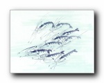 中国风水墨画:鱼