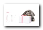 2011年兔年日历月历年历宽屏壁纸