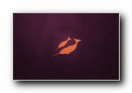 Ubuntu(乌班图) 11.04 全新精美壁纸