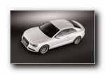 Audi A5 Coupe 2012(ڰµA5 )