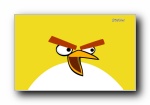 ŭС Angry Birds ֽ