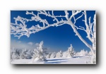 《冬季雪景》必��官方��屏壁�
