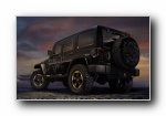 Jeep Wrangler Dragon Edition 2014()
