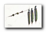 羽毛艺术设计中国风宽屏壁纸