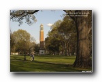 ѧ-University of Alabama